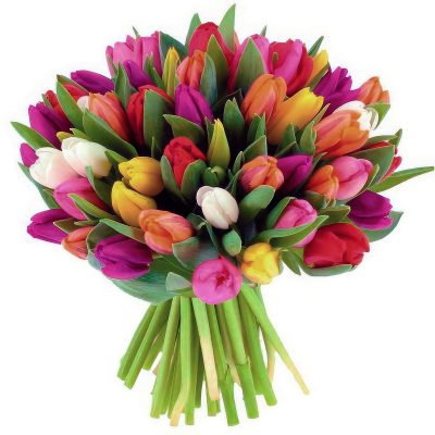 Акция! Тюльпаны 35 шт.